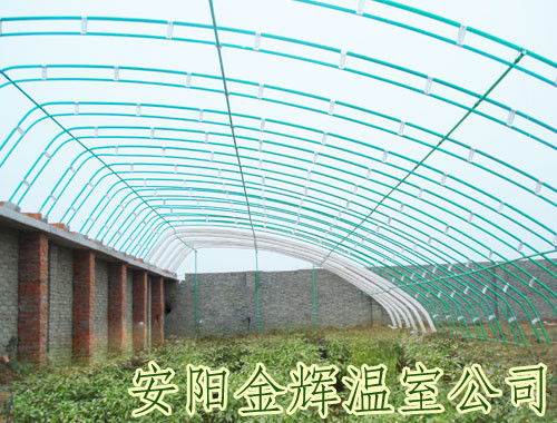 溫室大棚建造與蔬菜大棚安裝全攻略 從規劃到專業服務