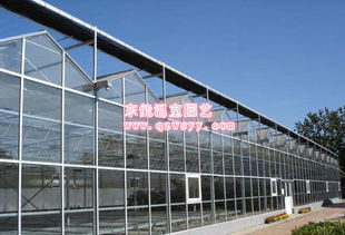 溫室大棚建設全方位指南 廠家選擇、價格構成與專業安裝服務