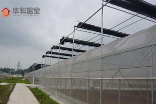 優質溫室大棚電動遮陽系統安裝流程詳解——華科溫室專業安裝服務
