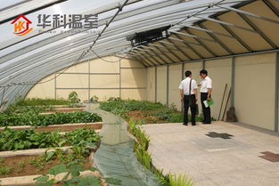三門峽陽光板溫室大棚 創新設計與專業安裝一體化服務，引領現代農業新篇章