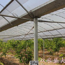 溫室大棚及安裝全解析 價格、批發渠道與廠家服務指南