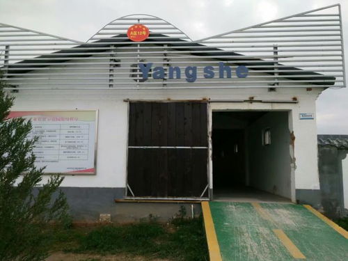 北京活動房選擇指南 雅致彩鋼板、鋼架結(jié)構(gòu)與大棚安裝服務(wù)全解析